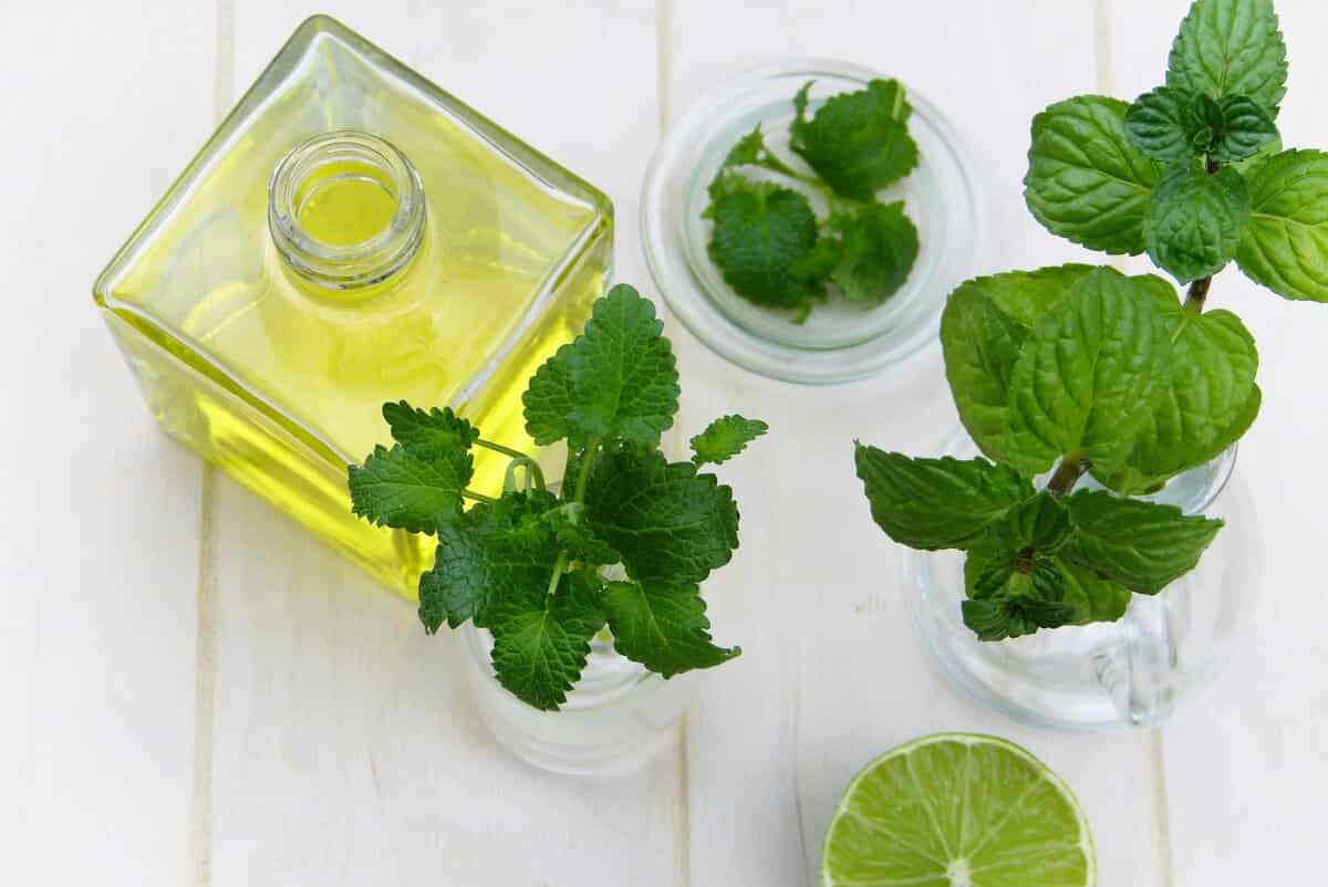 تصویر 2 از عرق نعنا دو آتشه مسکن سریع ناراحتی گوارشی